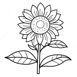 Ming Liang De Xiang Ri Kui Zhu Se Ye 126547-60247
