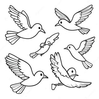 飛翔的鳥兒著色頁 著色頁