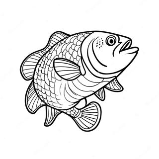 鱸魚釣魚著色頁 著色頁