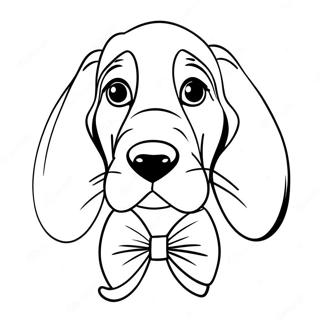 Dai Zhu Hu Die Jie De Ba Ji Du Quan Zhu Se Ye 133389-65696