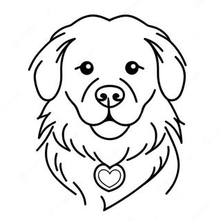 Mao Rong Rong De Jin Mao Xun Hui Quan Zhu Se Ye 1901-2154