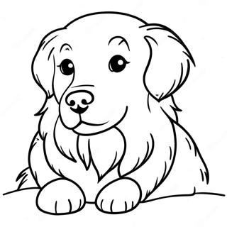 Mao Rong Rong De Jin Mao Xun Hui Quan Zhu Se Ye 1901-2156