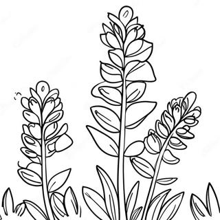 Se Cai Bin Fen De De Ke Sa Si Lan Zhong Hua Zhu Se Ye 46421-10159